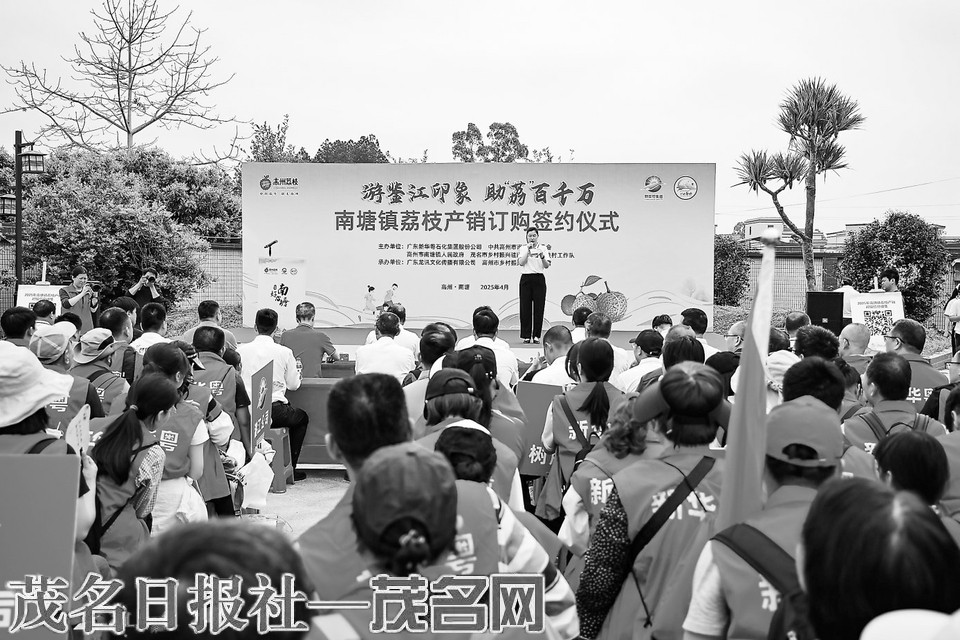 荔枝.jpg